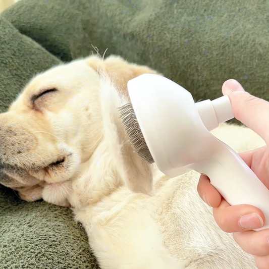 Viral Steam Brush