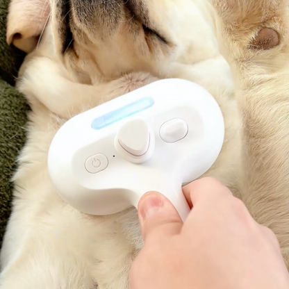 Viral Steam Brush