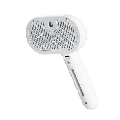 Viral Steam Brush