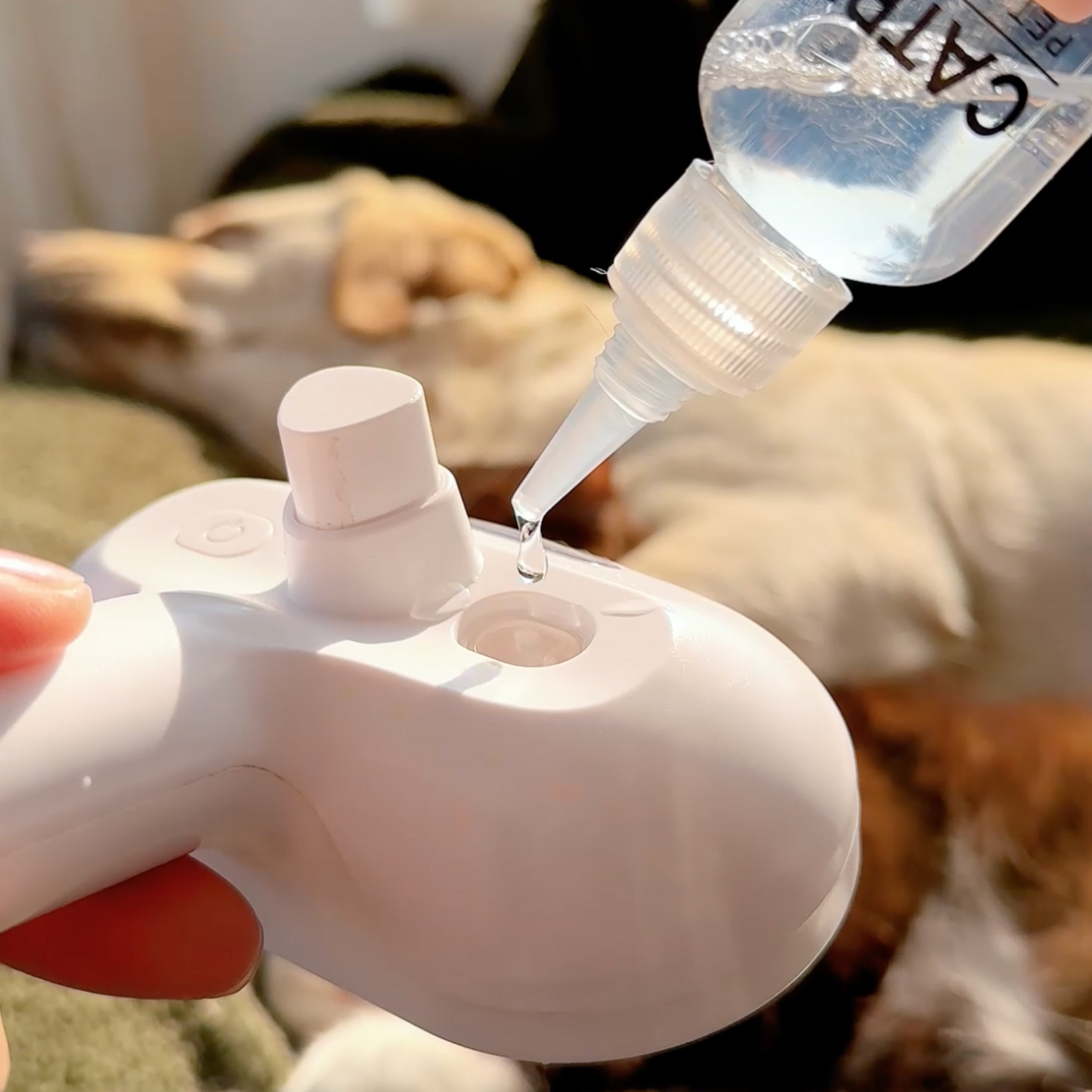 Viral Steam Brush