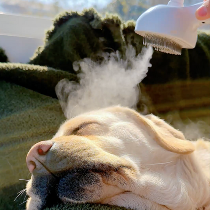 Viral Steam Brush