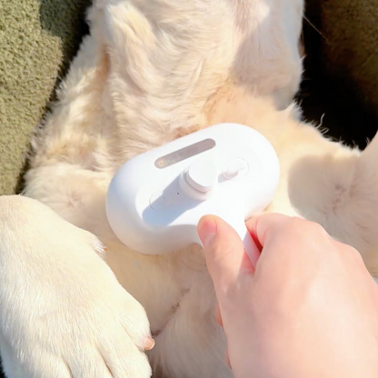 Viral Steam Brush