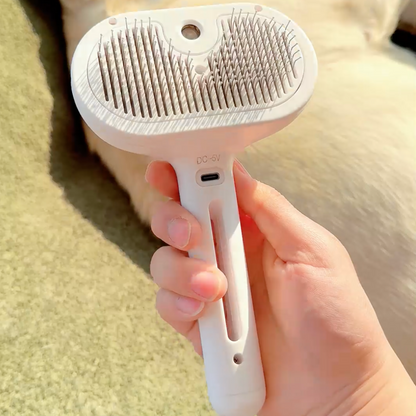 Viral Steam Brush