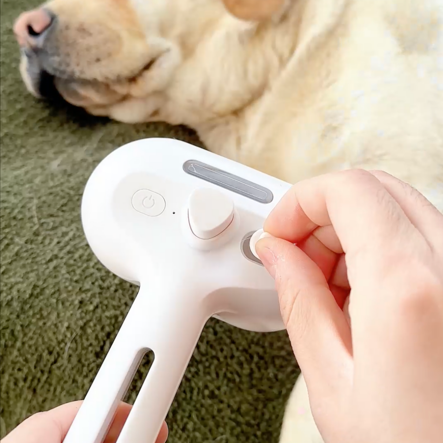 Viral Steam Brush
