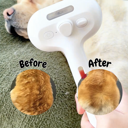Viral Steam Brush